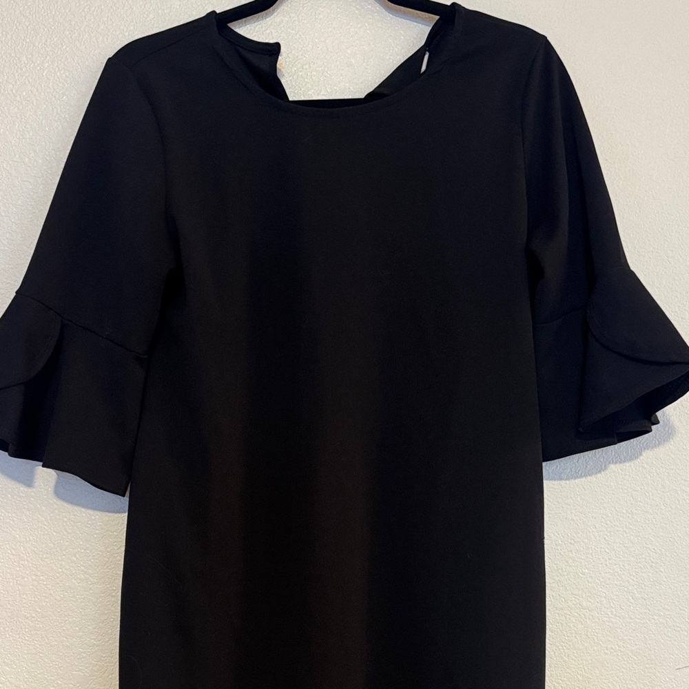 Pinkblush Black Mini Maternity Dress with Ruffle Sleeves